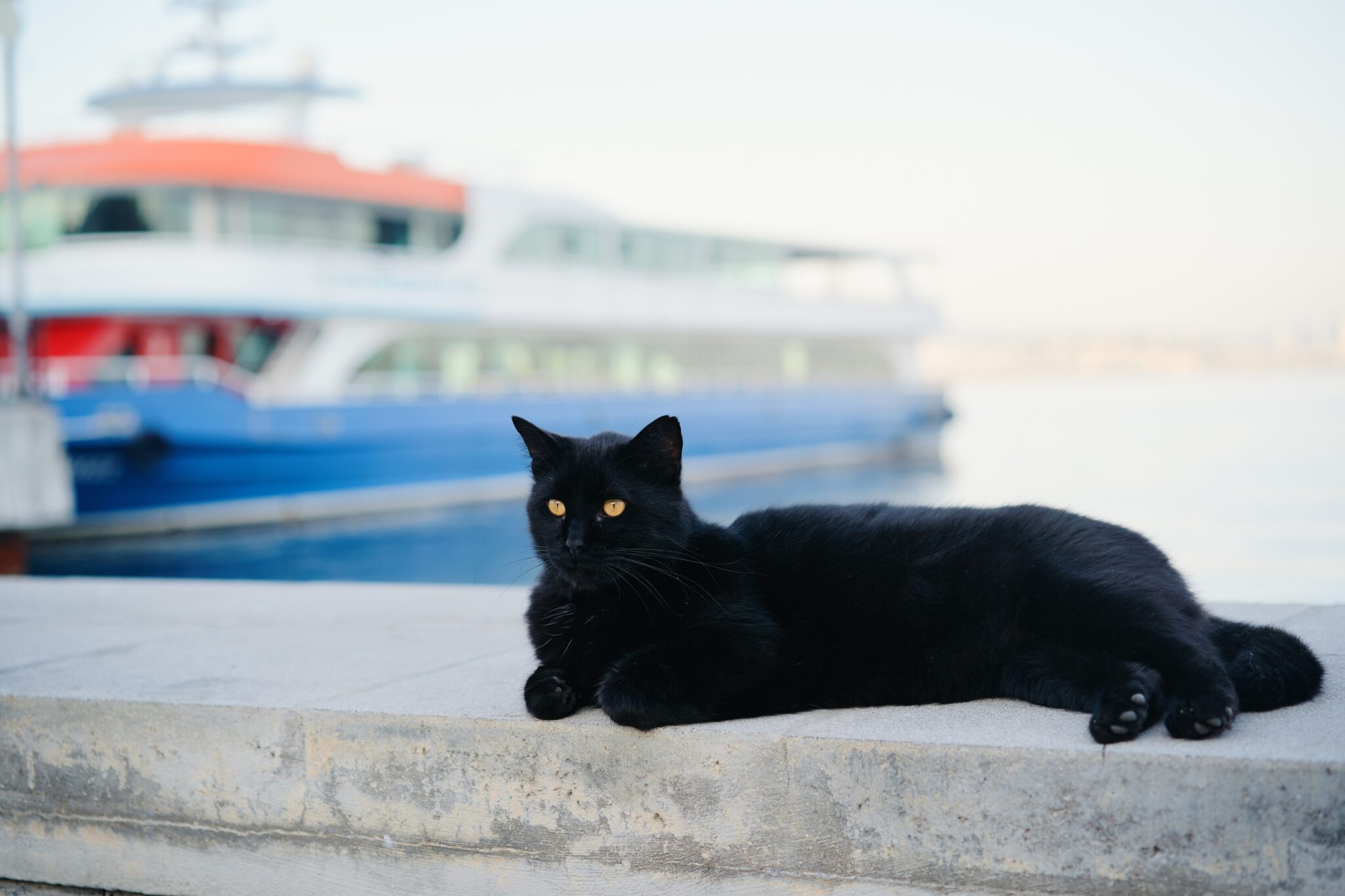 A black cat sitting securely on the deck of a traditional wooden sailing ship.